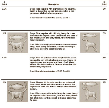 Is allowing my pet to be overweight bad - Chart 2