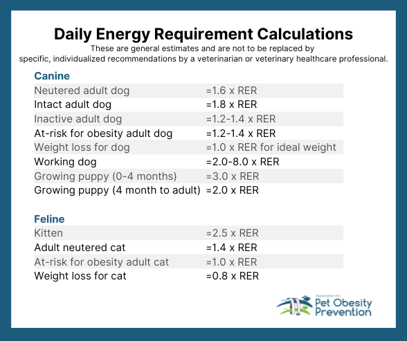 Is allowing my pet to be overweight bad